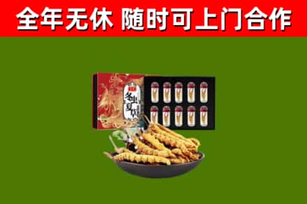 高密烟酒回收冬虫夏草礼盒.jpg